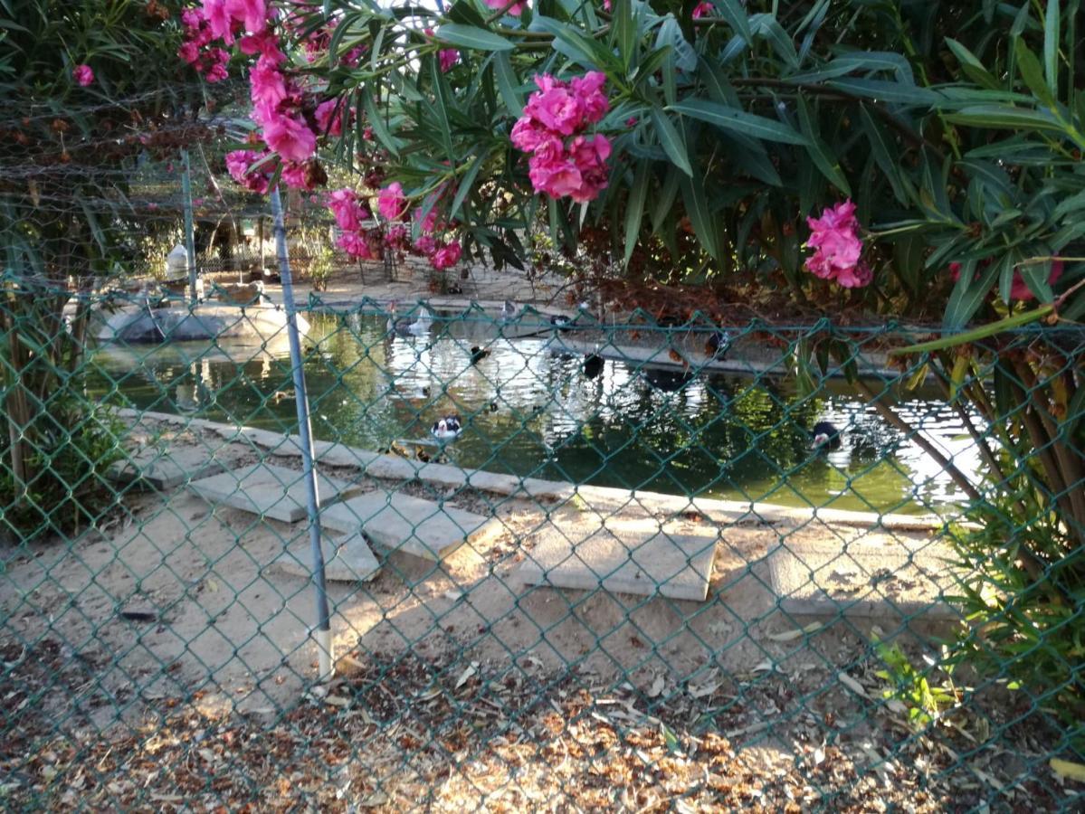 Quinta Vita - Vila Pera Almancil Luaran gambar