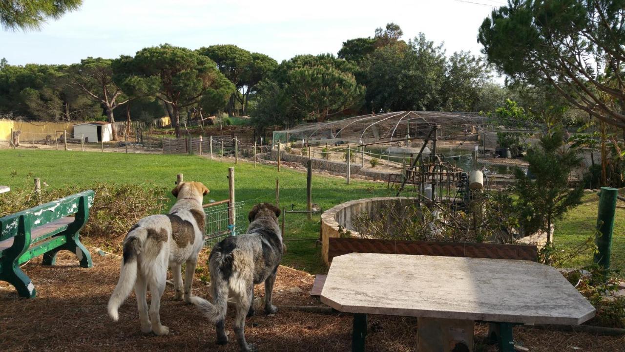 Quinta Vita - Vila Pera Almancil Luaran gambar
