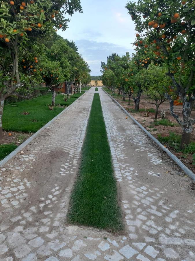 Quinta Vita - Vila Pera Almancil Luaran gambar